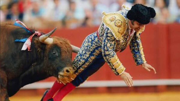Toro hiere de gravedad al diestro Morante de la Puebla en Sevilla