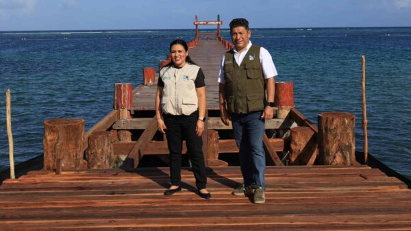 Supervisa Blanca Merari avance de la reconstrucción del muelle de pescadores en Puerto Morelos