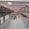Birmex controlará suministro y distribución de medicamentos