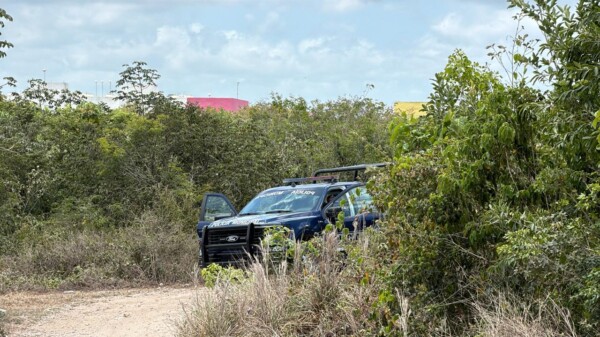 Hallan el cuerpo de una persona en la SM 203 de Cancún