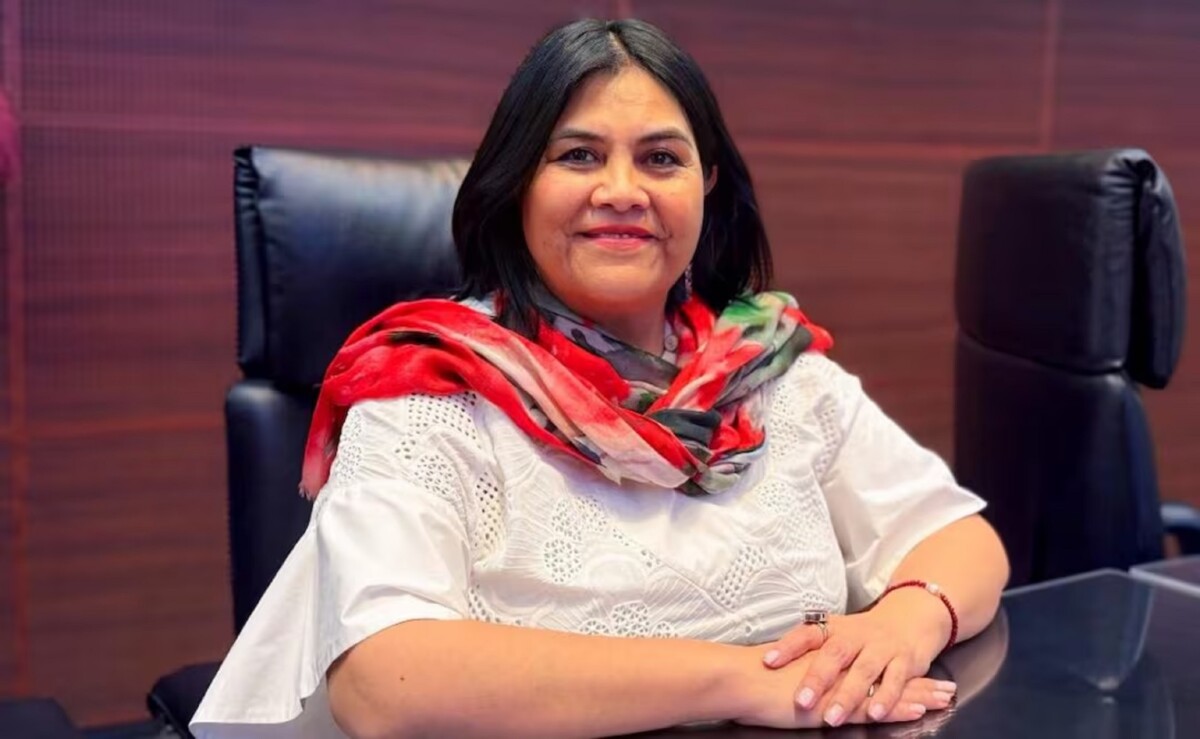 Guadalupe Chavira de la Rosa, senadora de Morena. 