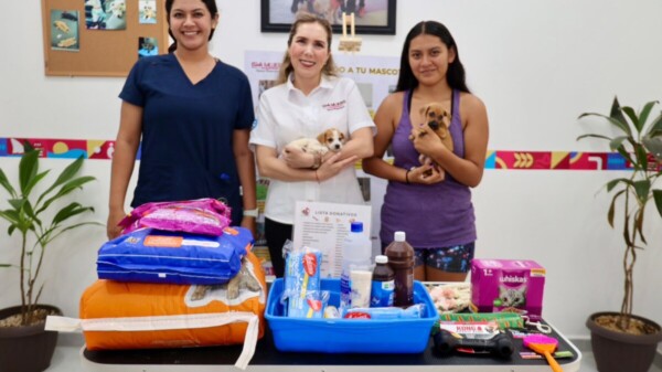 Atenea fortalece la atención digna para mascotas a través del Centro de Bienestar Animal de Isla Mujeres