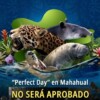 Ratifican: “No a ‘Perfect Day’”, dan las razones del por qué
