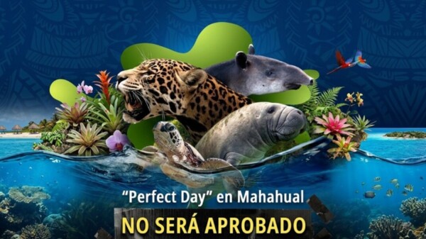 Ratifican: “No a ‘Perfect Day’”, dan las razones del por qué