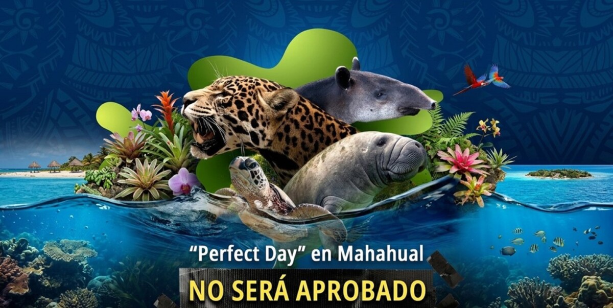 Ratifican: “No a ‘Perfect Day’”, dan las razones del por qué