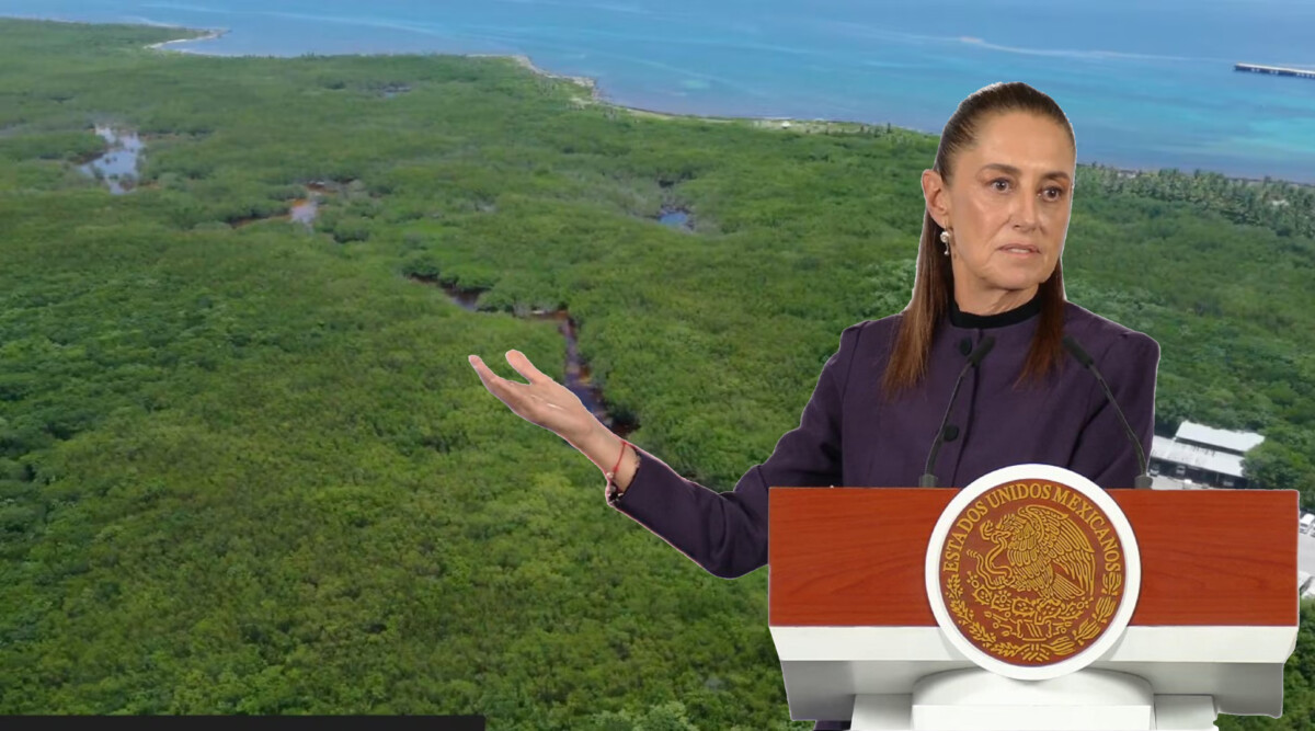 “No haremos nada que ponga en riesgo ecosistema en Mahahual”
