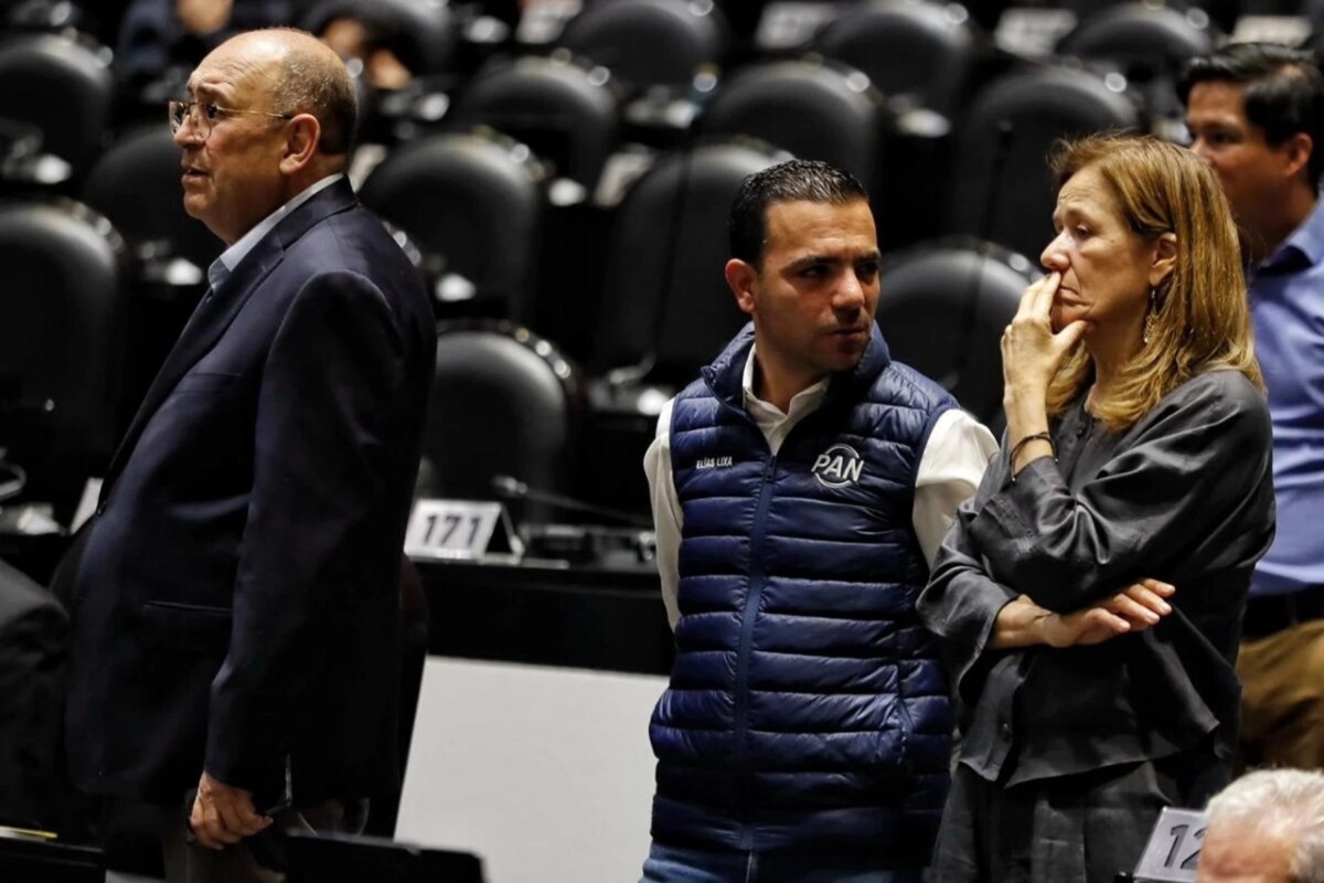 Avalan anular elecciones si hay pruebas de injerencia extranjera
