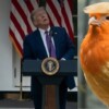 Trump se siente amenazado por un pájaro, lo confunde con dron