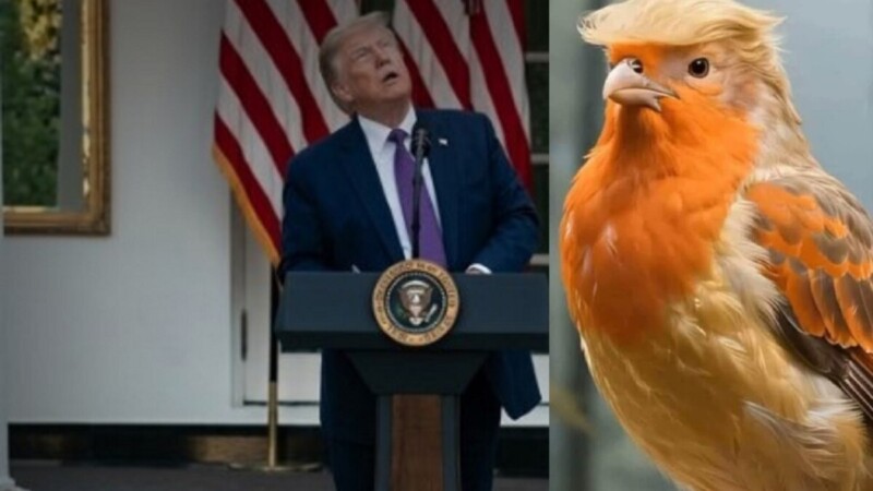 Trump se siente amenazado por un pájaro, lo confunde con dron