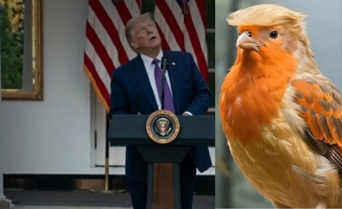 Trump se siente amenazado por un pájaro, lo confunde con dron