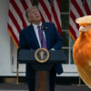 Trump se siente amenazado por un pájaro, lo confunde con dron