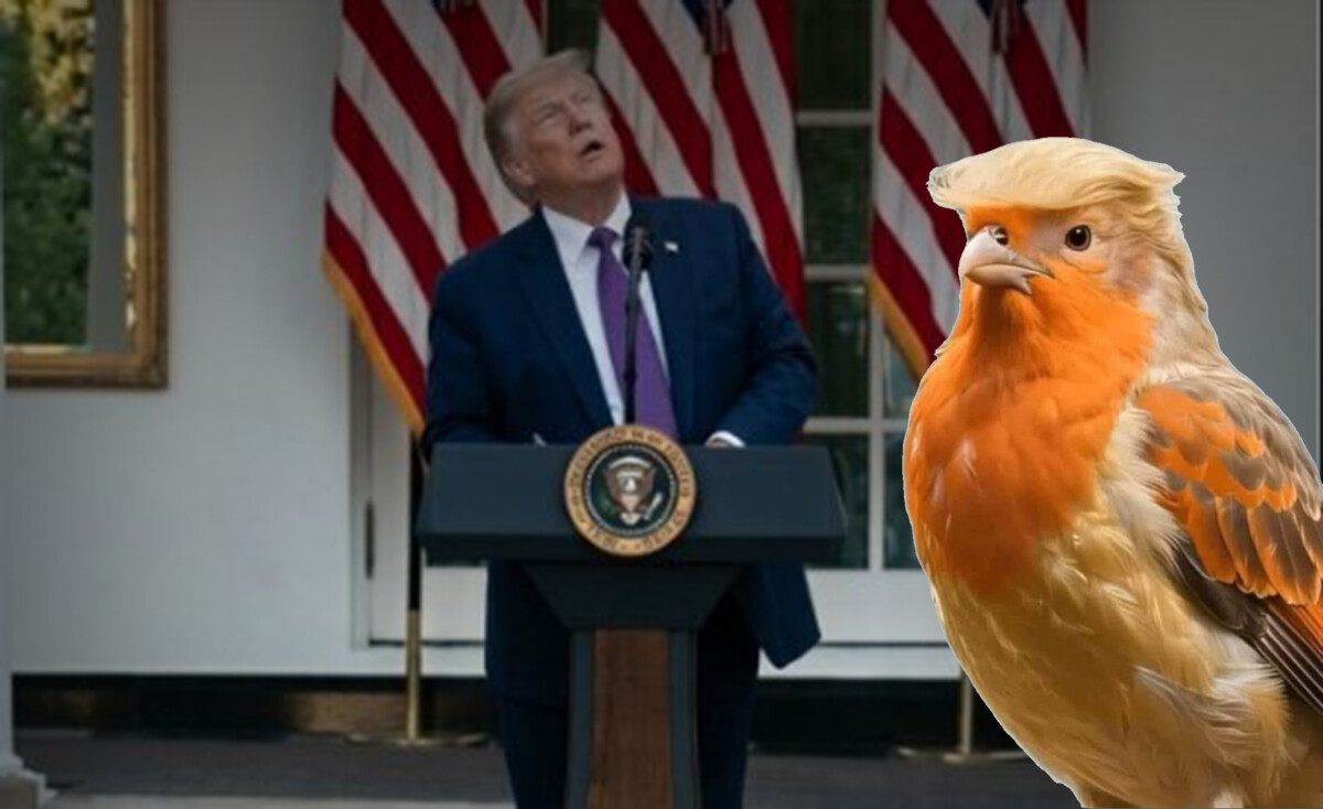 Trump se siente amenazado por un pájaro, lo confunde con dron