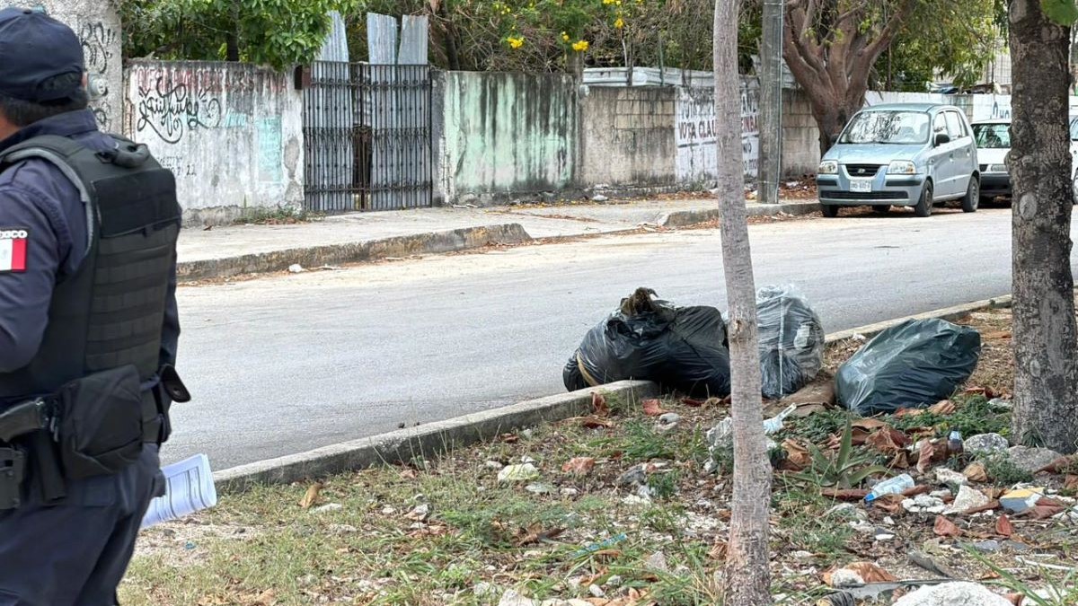 Hallan bolsas con restos humanos en la avenida Centenario, Supermanzana 227 de Cancún