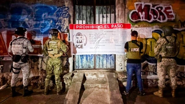 Cateos simultáneos en Cozumel y Cancún dejan dos detenidos y aseguramiento de presuntas drogas