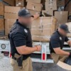 Operativo federal en Coahuila deja incautación de mas de 700 kilogramos de mariguana