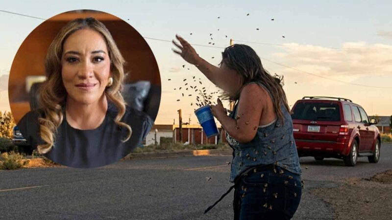 Ataque de abejas cobra la vida de magistrada en Zacatecas