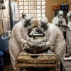Nuevo brote de ébola enciende las alarmas en África