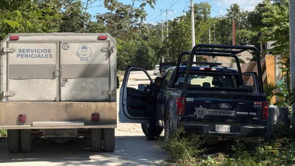 Hallazgo de cuerpo en descomposición en colonia de Cancún moviliza a autoridades