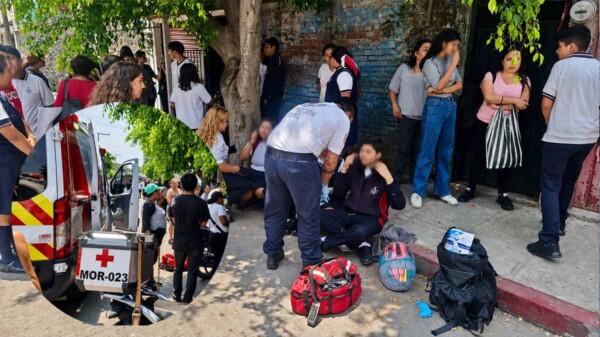 Enjambre de abejas provoca emergencia en escuela de Morelos