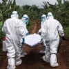 Aumenta a 116 cifra de muertos por brote de ébola en África