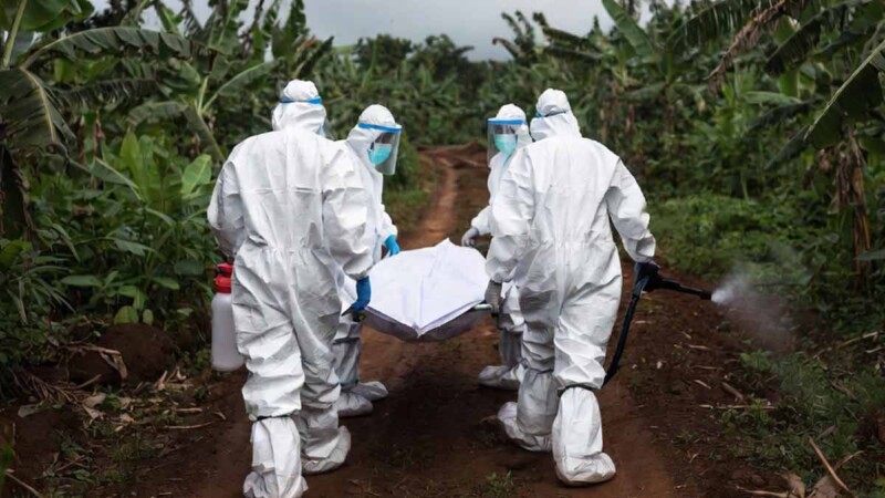 Aumenta a 116 cifra de muertos por brote de ébola en África
