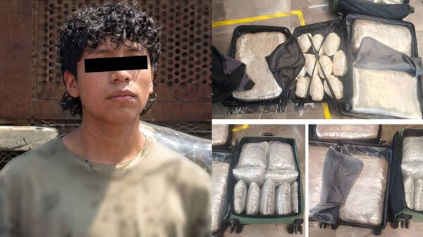 Detienen a sujeto que transportaba tres maletas atiborradas de mariguana en la TAPO de la CDMX