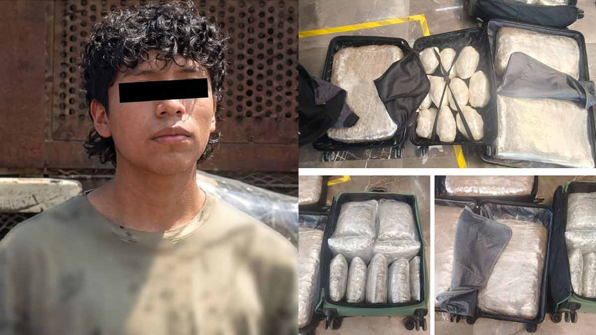 Detienen a sujeto que transportaba tres maletas atiborradas de mariguana en la TAPO de la CDMX