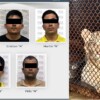Vinculan a proceso a cinco personas por crueldad animal en Playa del Carmen