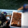 Aseguran 250 kilos de pepino de mar y detienen a tres personas durante operativo marítimo en Yucatán