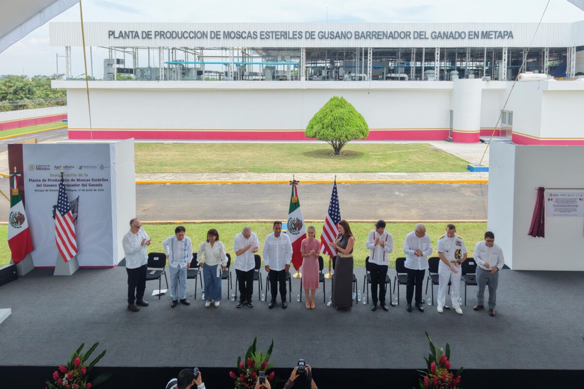 Puntualizó la Presidenta Claudia Sheinbaum Pardo que la relación con Estados Unidos debe seguir construyéndose sobre principios muy claros: el respeto mutuo, el diálogo, la cooperación y el reconocimiento de la soberanía de cada nación. 