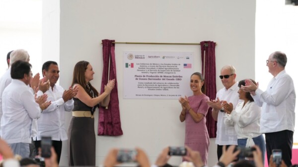 Sheinbaum inaugura planta para frenar gusano barrenador