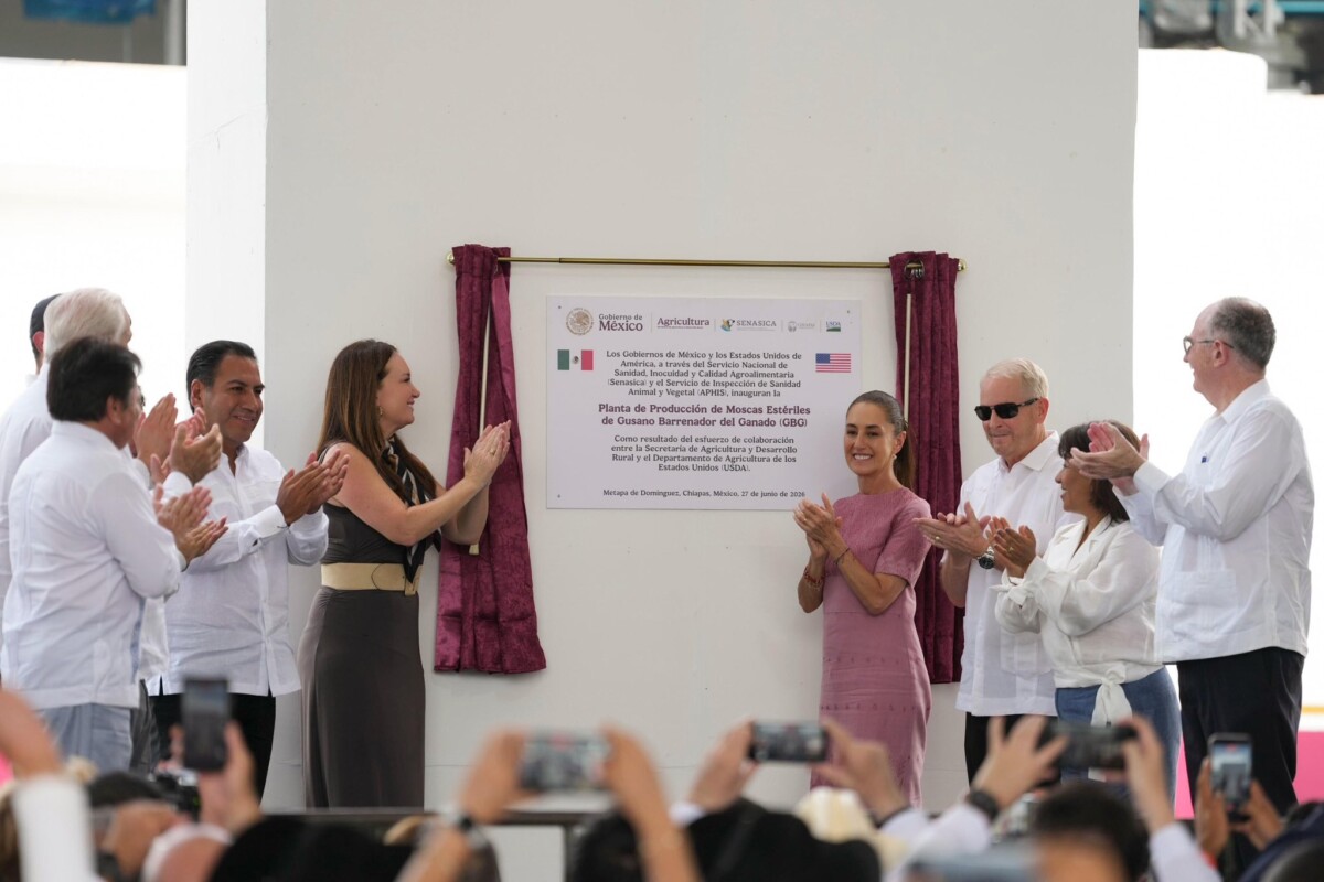 Sheinbaum inaugura planta para frenar gusano barrenador