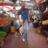 Perrito pone fin a baile viral de colombiano con inesperada mordida