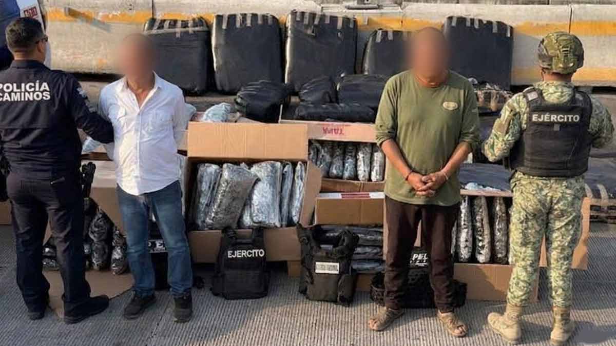 La SSPG incauta casi media tonelada de mariguana en retén de Guanajuato