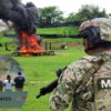 Semar destruye más de tres toneladas de drogas aseguradas en Michoacán