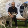 Campaña en Chihuahua intenta salvar a perrita de ser sacrificada por morder a un niño