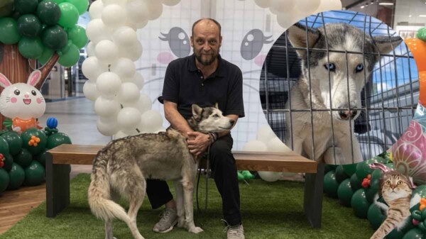Campaña en Chihuahua intenta salvar a perrita de ser sacrificada por morder a un niño
