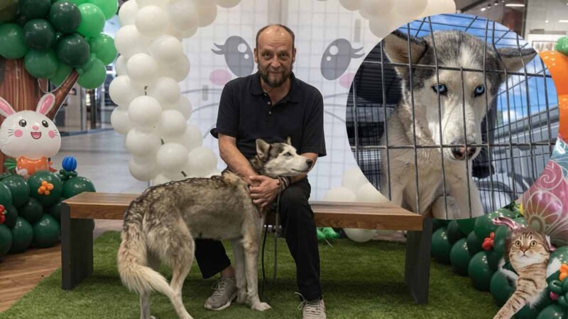 Campaña en Chihuahua intenta salvar a perrita de ser sacrificada por morder a un niño