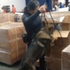 Detectan contrabando de 1.2 millones de cigarrillos en el Aeropuerto Internacional de la Ciudad de México