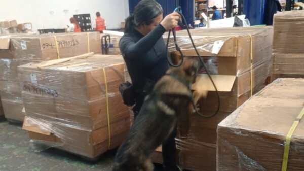 Detectan contrabando de 1.2 millones de cigarrillos en el Aeropuerto Internacional de la Ciudad de México