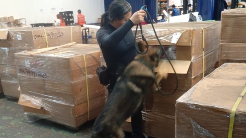 Detectan contrabando de 1.2 millones de cigarrillos en el Aeropuerto Internacional de la Ciudad de México