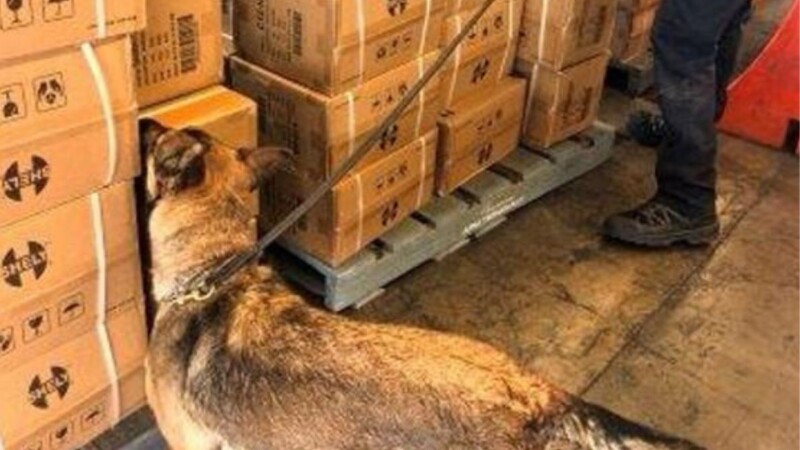 Aseguran más de 115 mil artículos de escritura en la aduana de Lázaro Cárdenas, Michoacán