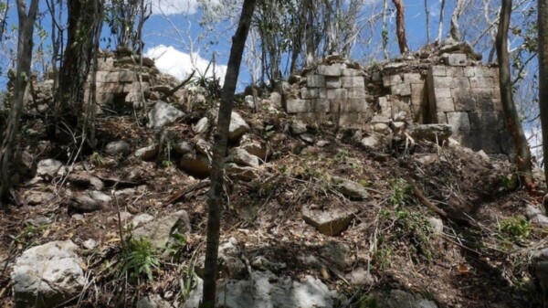 Hallan ciudad maya virgen en Calakmul; la nombran Minanbé, ‘no hay camino’