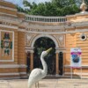 Ataque de jauría deja seis animales muertos en el Zoológico del Centenario de Mérida