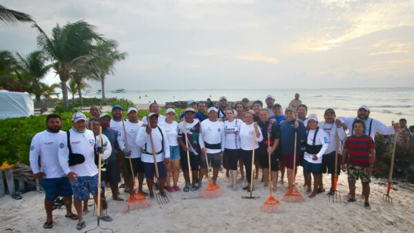Gobierno de Isla Mujeres responde con rapidez al recale atípico de sargazo