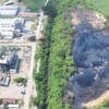 Clausuran actividades de empresa alcoholera; investigan mortandad de peces en Veracruz