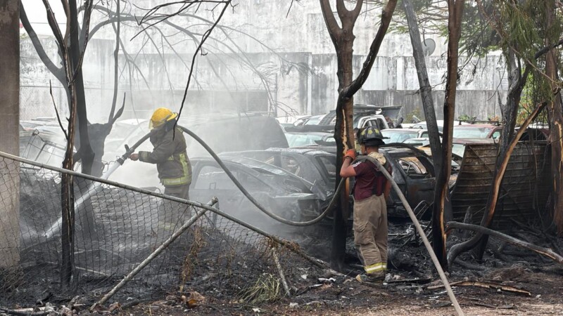Incendio moviliza a cuerpos de emergencia en deshuesadero de Cancún; no se reportan lesionados