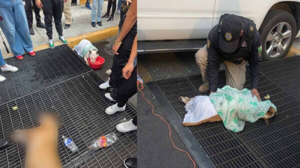 Detienen a hombre en la CDMX por dejar morir a su perro dentro de un auto bajo el sol
