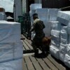 Aseguran más de 8.4 millones de cigarrillos presuntamente apócrifos en la aduana de Manzanillo