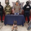 Presunto narcomenudista allana una vivienda tras persecución policiaca en Chetumal